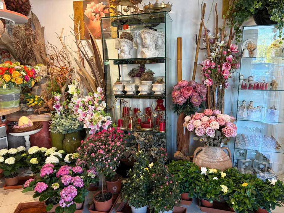 Fiori, piante e oggettistica all’interno della Fioreria Main